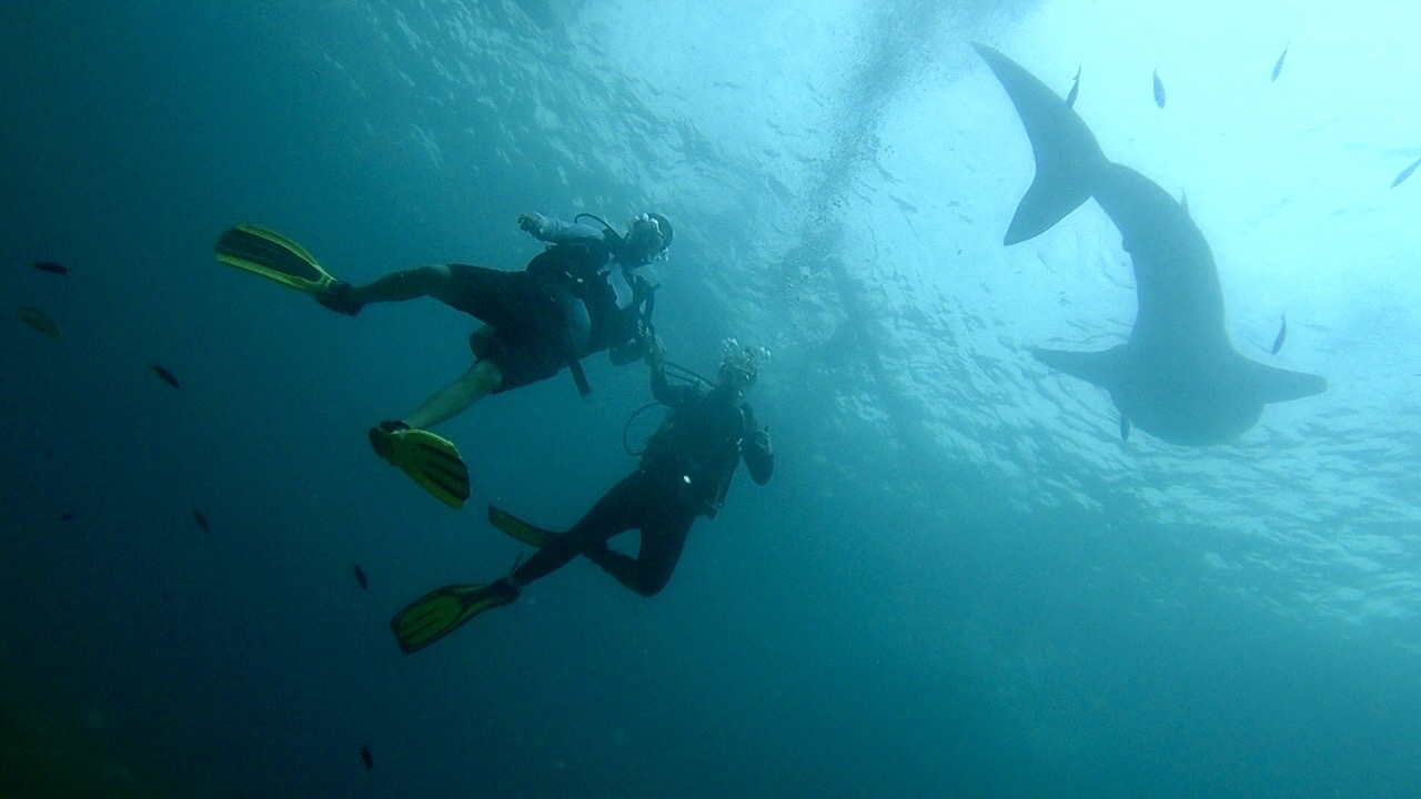 Diveabetes SCUBA Diving with Diabetes Type 1 Way Ticket Travel